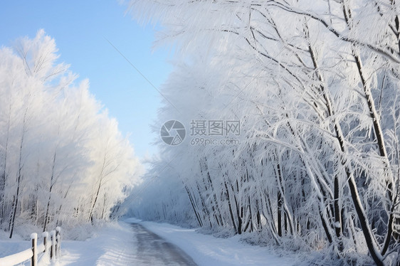 冰雪之路图片