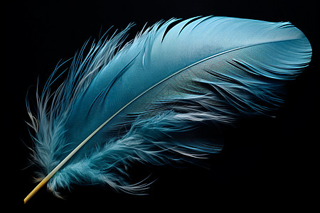 轻盈的蓝色羽毛图片