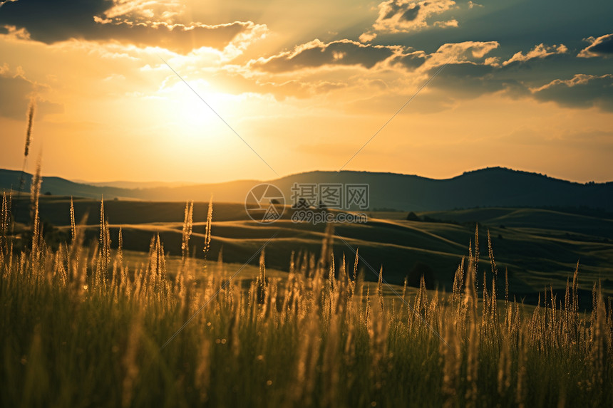 夕阳下的农田图片