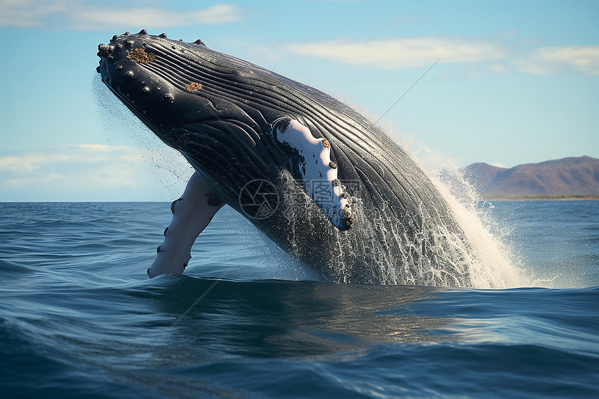 聚合优质内容与技术创新重塑直播生态格局