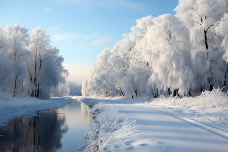冬日美丽的森林图片