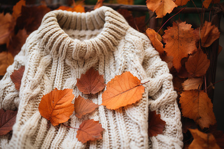 秋日保暖的毛线衣图片