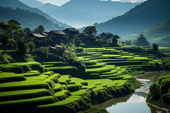 山谷梯田的美丽景观图片