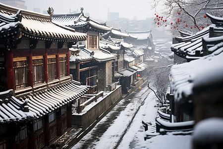 冬天村庄的雪景图片