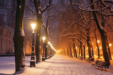 冬天路灯夜晚的下雪街景背景