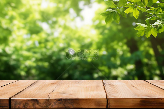 夏季户外的木桌图片