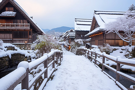 大雪养生美丽的冬季乡村景观背景