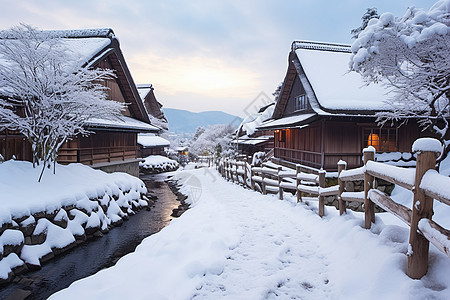 冬季白雪覆盖的乡村景观图片