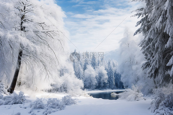 白雪皑皑的森林景观图片