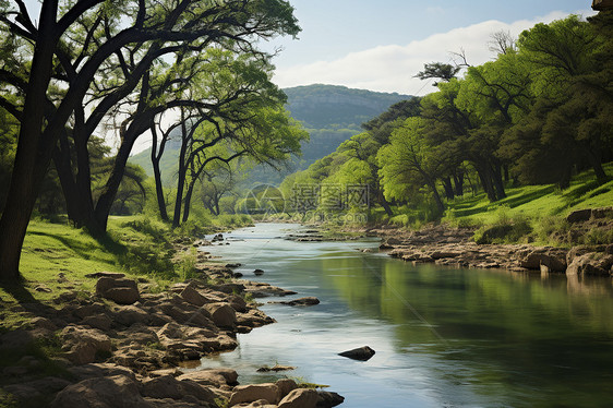 江河贯流林间的美丽景观图片
