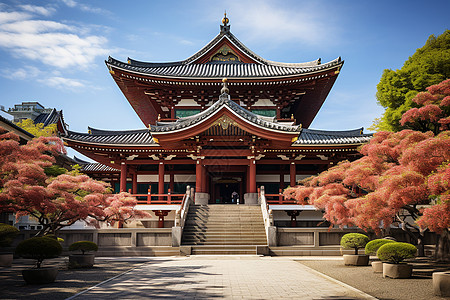 日本 樱花樱花和塔的美丽风景背景