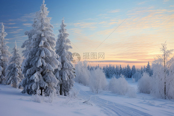 夕阳下的雪景图片