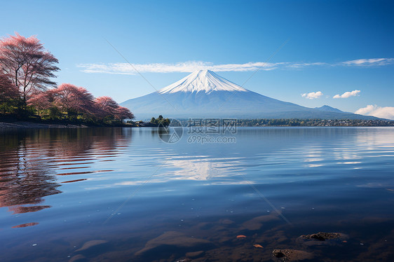 富士山初春的湖畔景色图片