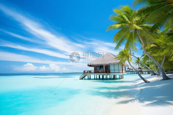 蔚蓝海水的度假岛屿景观图片