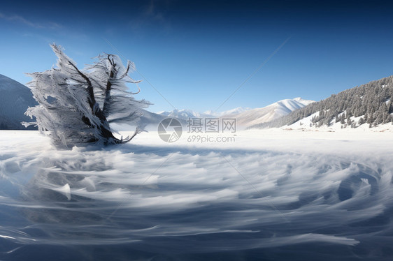 美丽的贝加尔湖景观图片