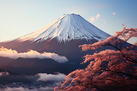 寒冷中的富士山图片