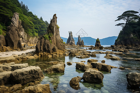 海边巨市图片