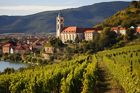 古典的欧洲葡萄酒庄园图片
