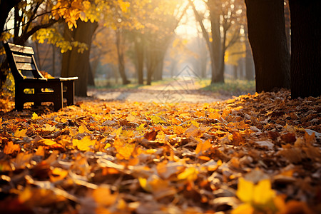 深秋飘落的叶子背景图片
