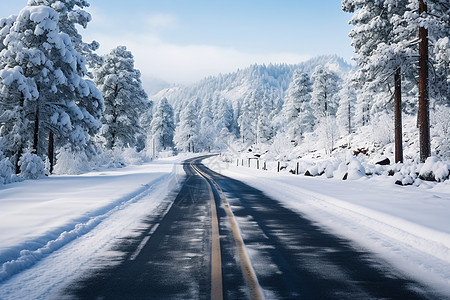 冰雪之中的寒冬奇景图片