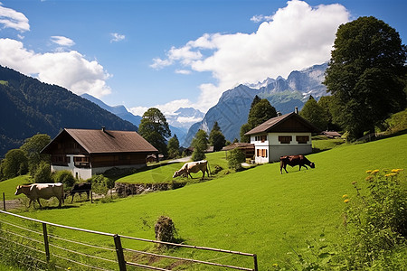 夏季草原农村风光的竟敢背景