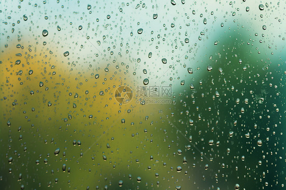 雨滴中的秋意图片