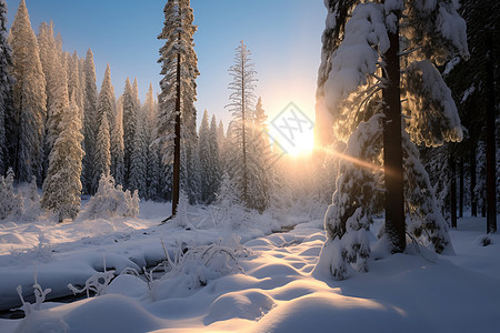 冬日山林之美图片