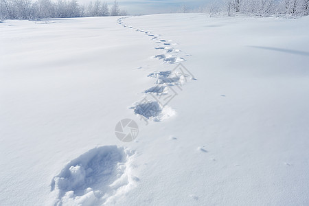 雪中的神秘脚印高清图片