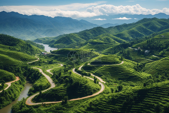 自然美景田野风景图片