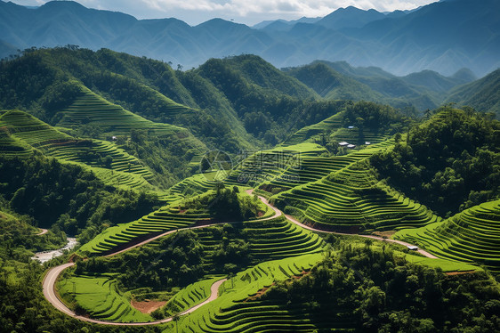 山脉中的绿色风景图片