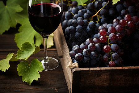 新鲜葡萄桌子上的红酒和葡萄背景