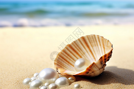 贝壳和一些珍珠背景图片