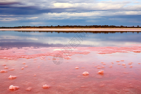 粉色的湖泊图片