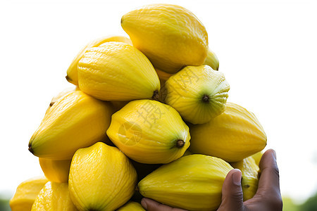 健康成熟的热带黄色水果图片