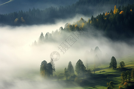 大雾笼罩的山谷背景图片