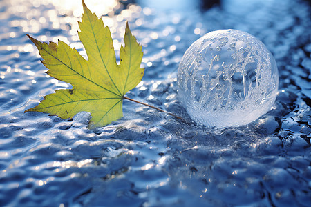 枫叶水户外结冰的泡泡背景