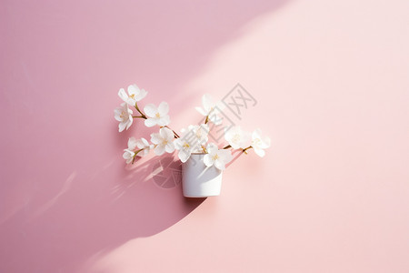 花瓶中的樱花背景图片