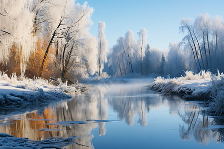 冬季的树木和水体景色图片