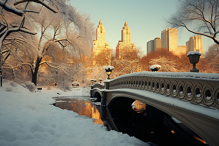 纽约的冬日公园图片