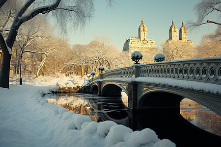 冬日下的中央公园图片