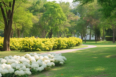 花园中的花朵和树木图片