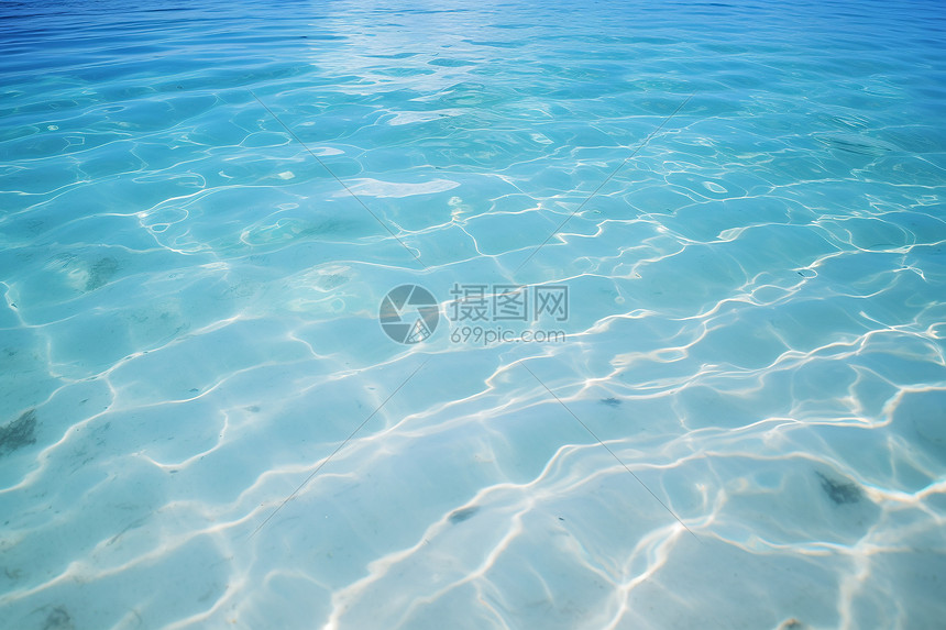 夏日清澈的海水图片