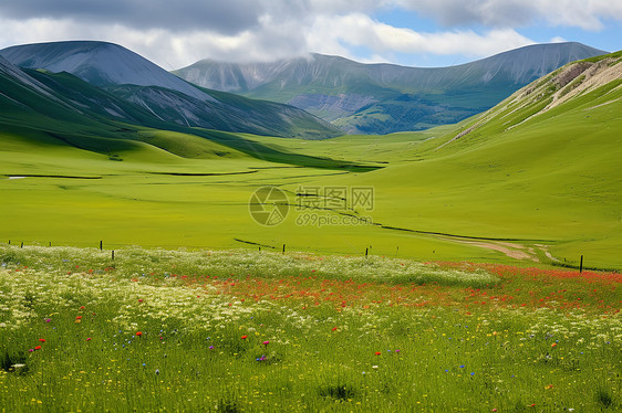 山下草原的美丽风景图片