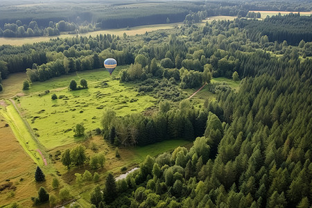翠绿森林上翱翔的热气球图片