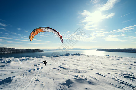 冰湖上的飞翔图片