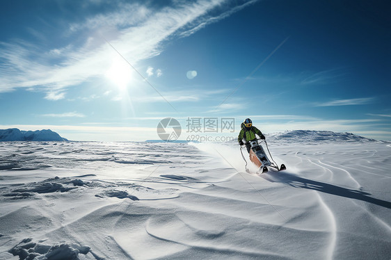 冰天雪地上的速度狂飙者图片