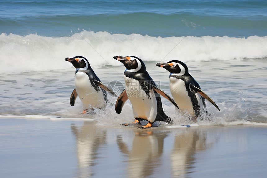企鹅直播携手顶级赛事IP推出高清低延迟直播技术重构用户观看习惯引领行业新风向