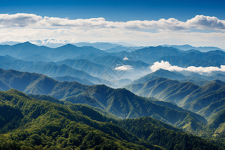 俯瞰图朝霞映照云雾朦胧背景