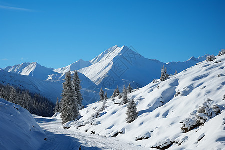 冰冻冬季的雪山景观图片