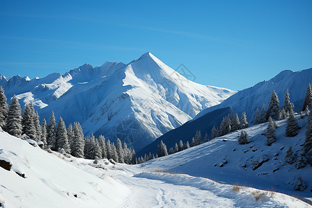 白雪皑皑的雪山景观图片